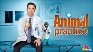 copyright-dismiss-prejudice-lawsuit-tv-show-animal-practice-nbc-duckhole.jpg