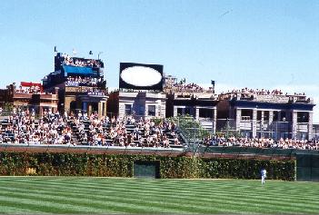 cubs%20-%20rooftop%20pic.jpg